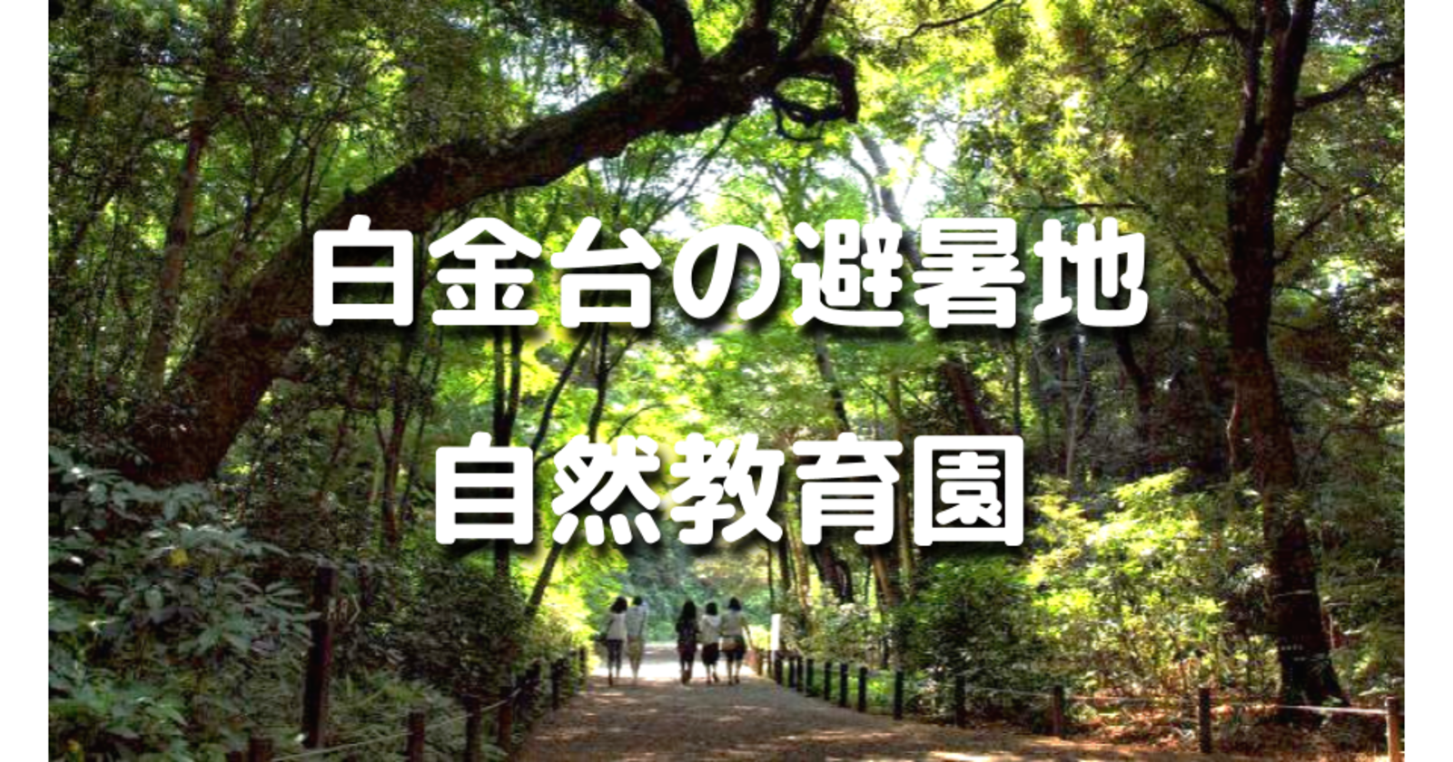 無料中！数少ない都内の森。避暑地ともいわれる白金台の自然教育園の森の中でお散歩します。白金の歴史にも触れます♪