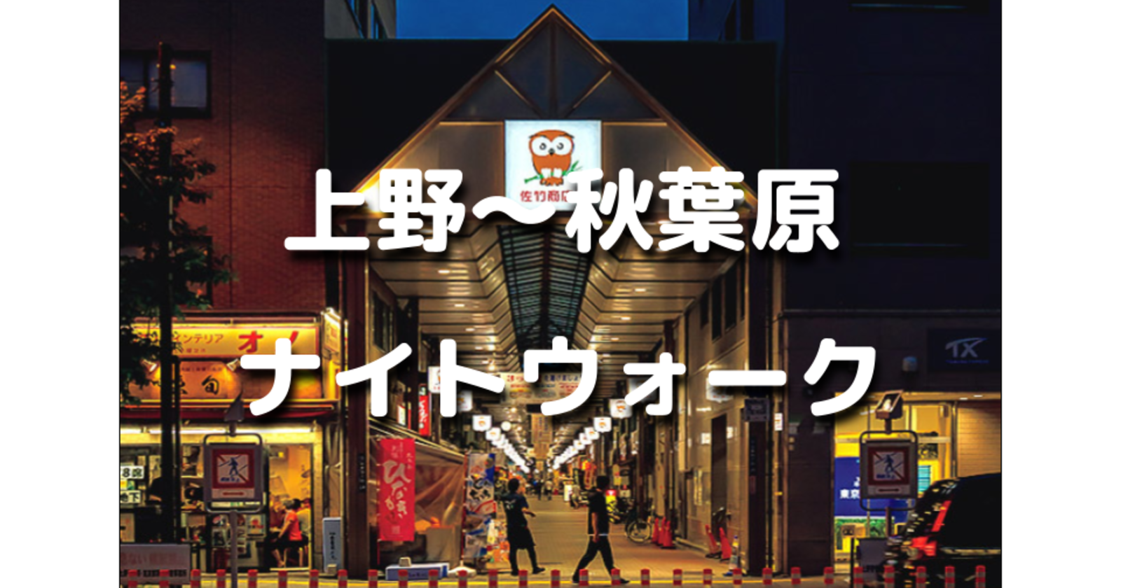 秋田出身大歓迎♪解説付き！上野～御徒町～秋葉原の歴史を巡る夜散歩。普段歩かないところを歩きます。運動目的の参加もOKです♪