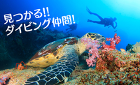 海好き・ダイビング好き交流会！海ボーイ海ガール海グルメ好き集まれ！！