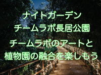 ナイトガーデン🪴チームラボ長居公園　アートと植物園の融合を楽しもう