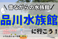 品川水族館の生き物たちに会いに行こう！！【20代限定/友達作り】