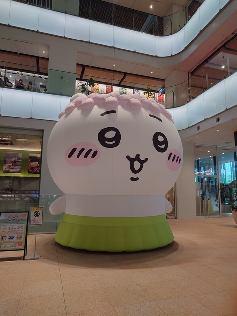 【募集中】11月練習会（川越町）