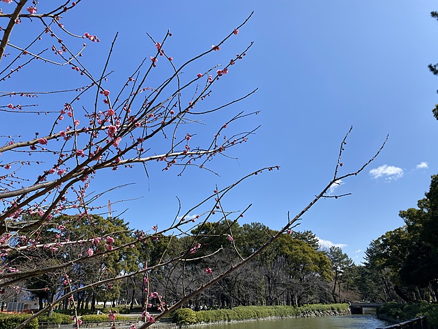 3/9わいわい🙌うぉーきんぐ