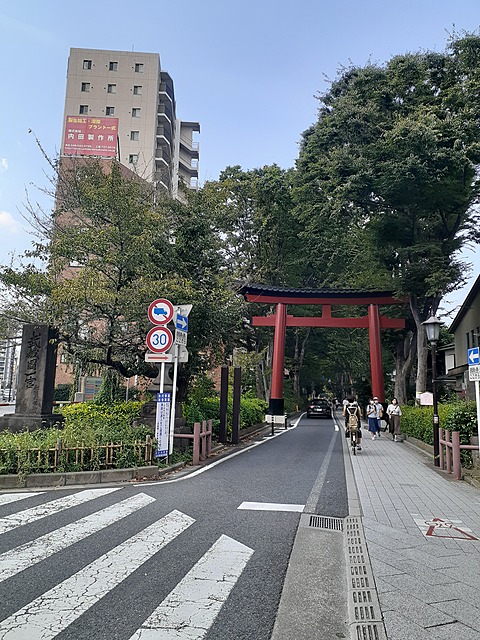 2024/11/9大宮氷川参道歩こう