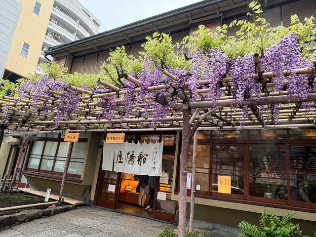 亀戸天神藤まつり