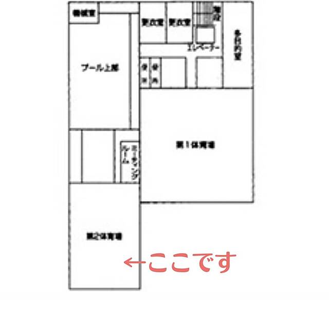 9月4日(水)バドミントンと卓球します🎵