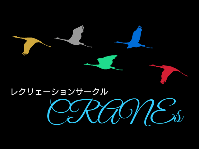 活動再開決定!