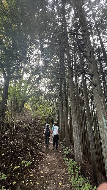 ケーブルカーで日の出山