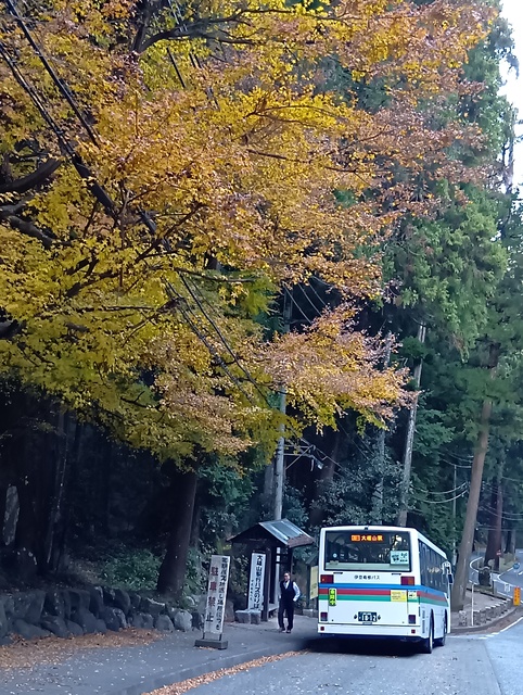 2025/12/6大雄山に紅葉狩りに行こう