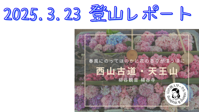 2025/03/23 西山天王山レポート