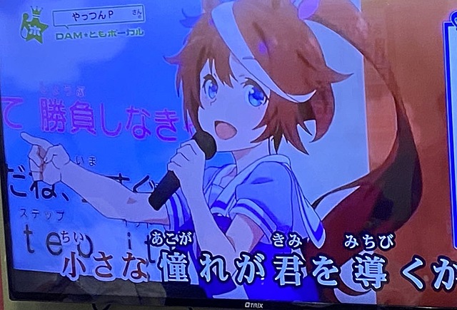 第129回ゆうカラ☆カラオケオフ会で歌った曲(抜粋)