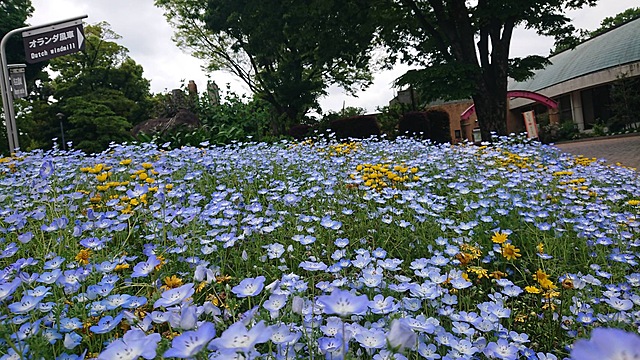 4/29ウォーキングの後は沖縄へ!?