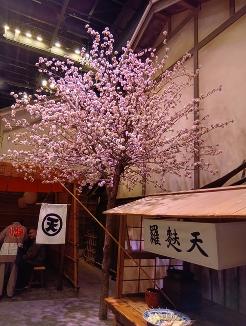 2026/2/28(B日程) 清澄白河と亀戸を歩こう