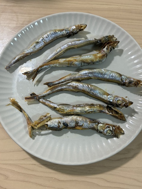 こちらは今日の夜ご飯になります🐟✨
