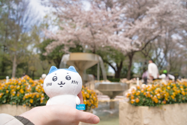 新しくカメラサークルを作りました!