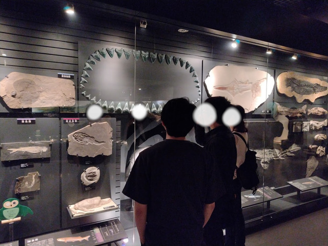 5/11 上野にある国立科学博物館に行ってきました!