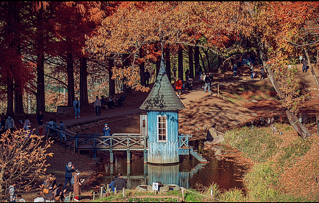 秩父夜祭&角川&トーベヤンソン