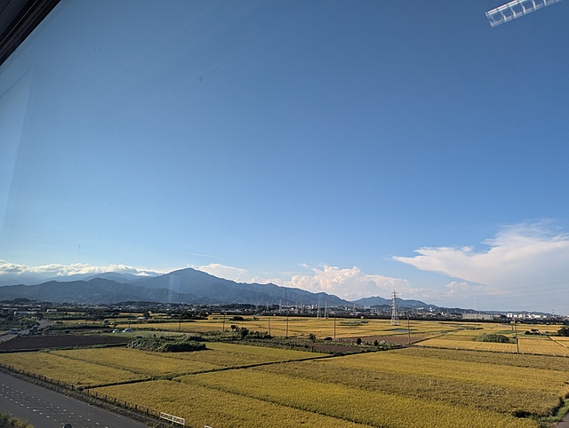 GMの募集をします!