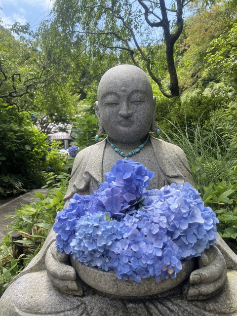北鎌倉　円覚寺～明月院　紫陽花観賞