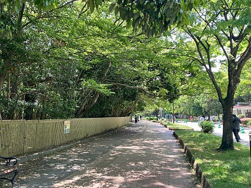 6月ウォーキング