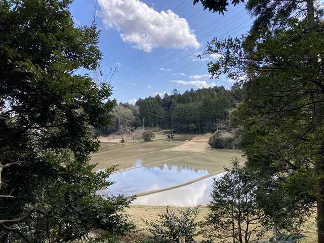 春の千葉・大網エリア 自然散策