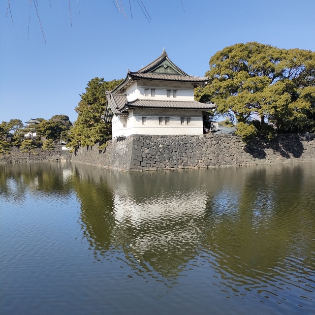 2025/2/1土曜ランニング会🏃🏃🏃✨