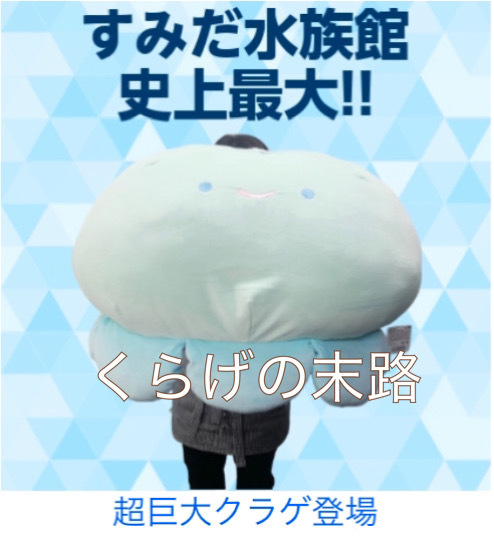 くらげの末路