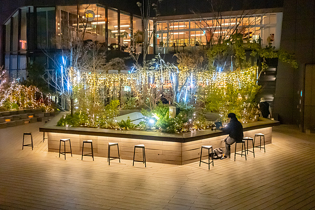 おもはらの森イルミネーション✨