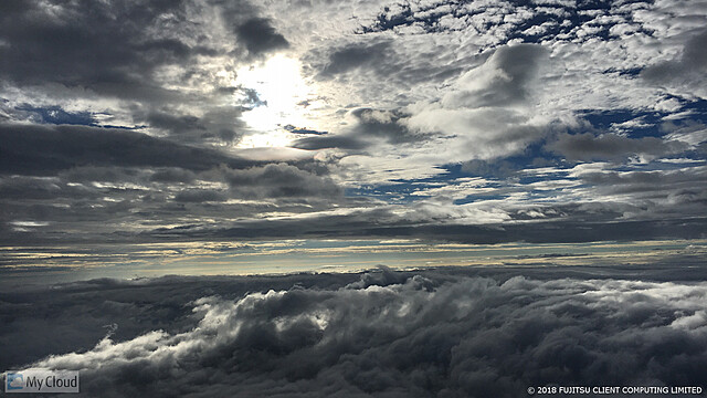 12月ウォーキング