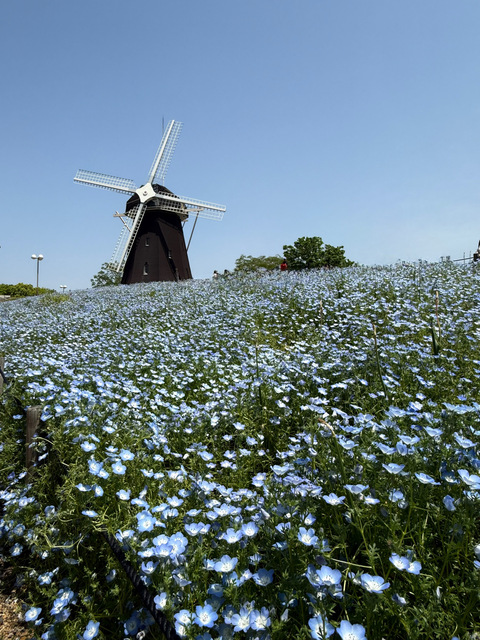 2025/5/3お散歩会