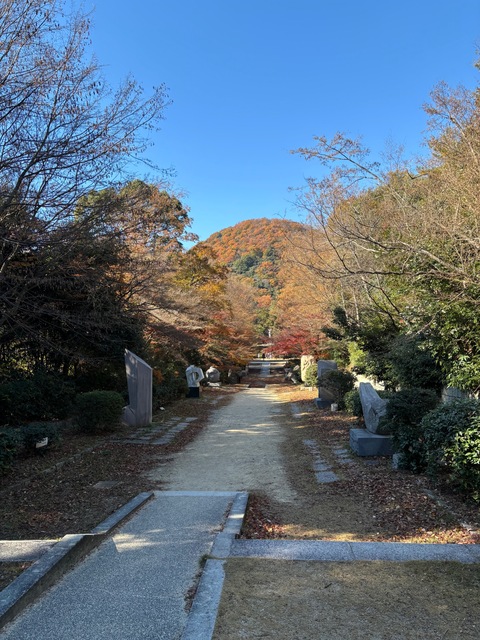 甲山ハイキング