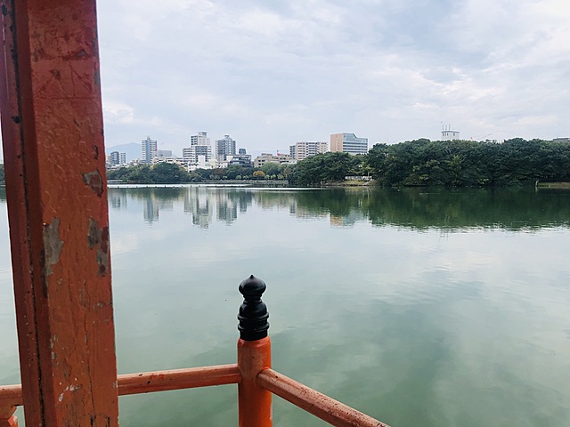 2024/11/16(土)おさんぽ会(朝さんぽ👟)