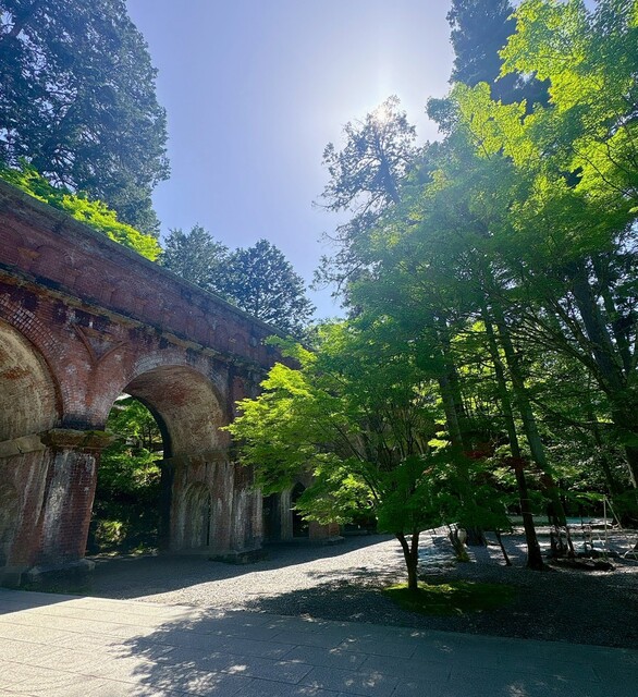 南禅寺 新緑ツアー🌿