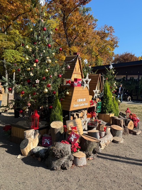 2025/11/22お散歩会