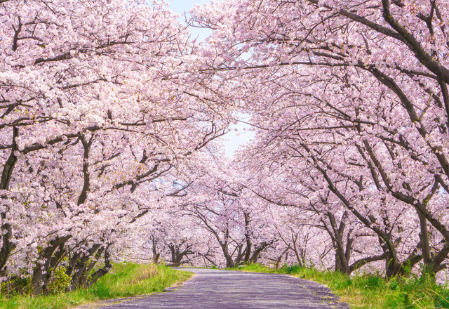 サークル理念「誰かのやりたいを形にする」