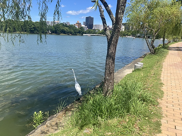 7月ウォーキング🚶♀️