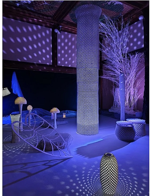 EventSubImage
