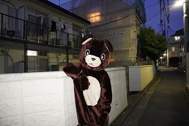 エッセイの募集