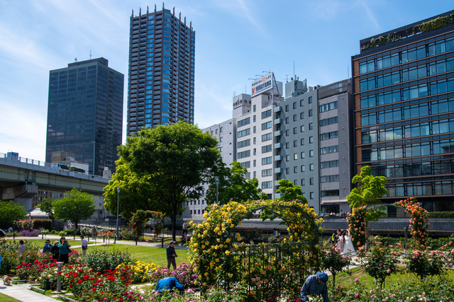 中之島公園〜靱公園フォトウォーク活動報告