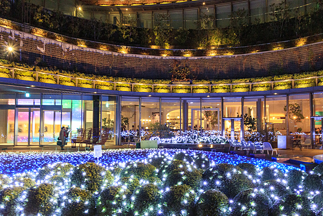 東京ミッドタウン日比谷 イルミネーション✨
