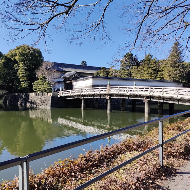 2025/2/9皇居ランニング🏃♀️🏃✨