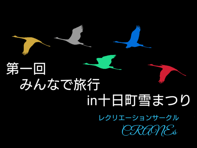 第一回みんなで旅行in十日町雪まつり