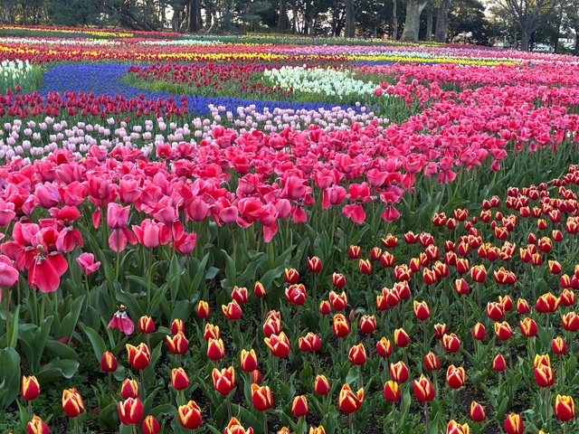 9月13日名古屋市内、参加募集中♪