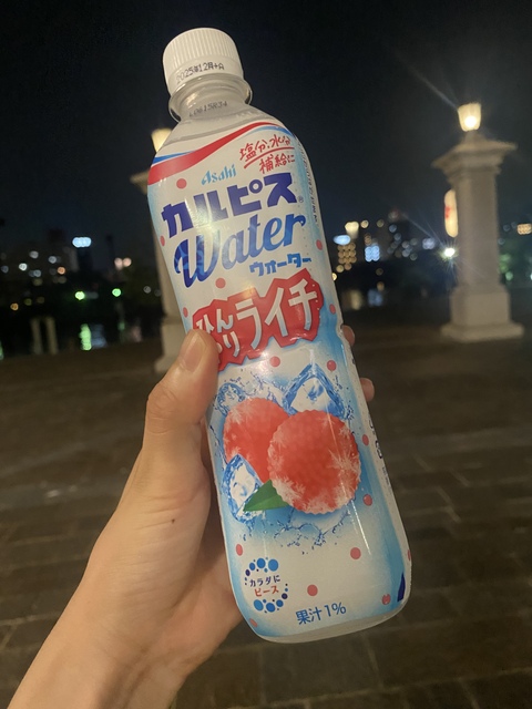 【気まぐれランニング】