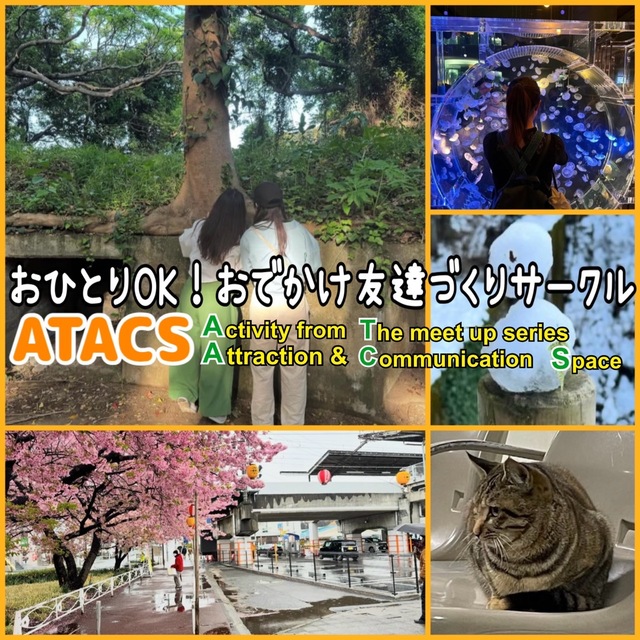 当サークルの活動紹介