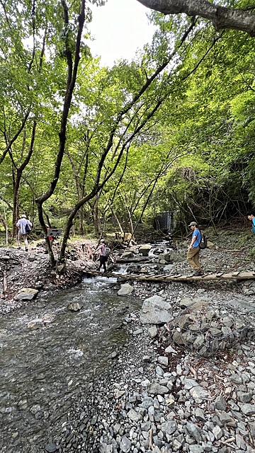 鍋焼きうどんを求めて
丹沢鍋割山へ