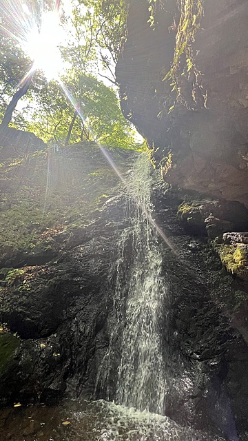 新緑の御岳山ロックガーデン
