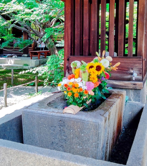 25/7/19京都へモーニング☕️&坐禅体験に行ってきました♪