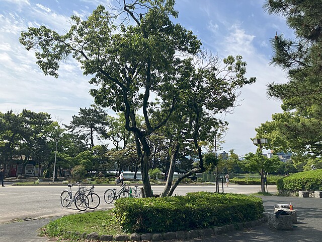 10月ウォーキング🚶♂️