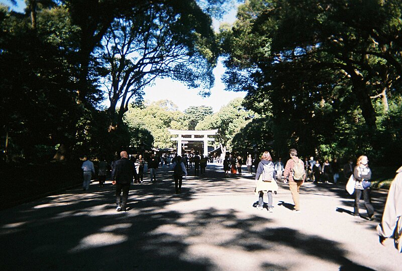 2023/11/19@代々木公園